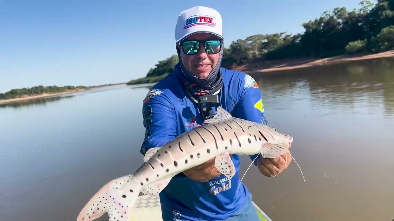 Pescaria de peixes de couro no rio Araguaia
