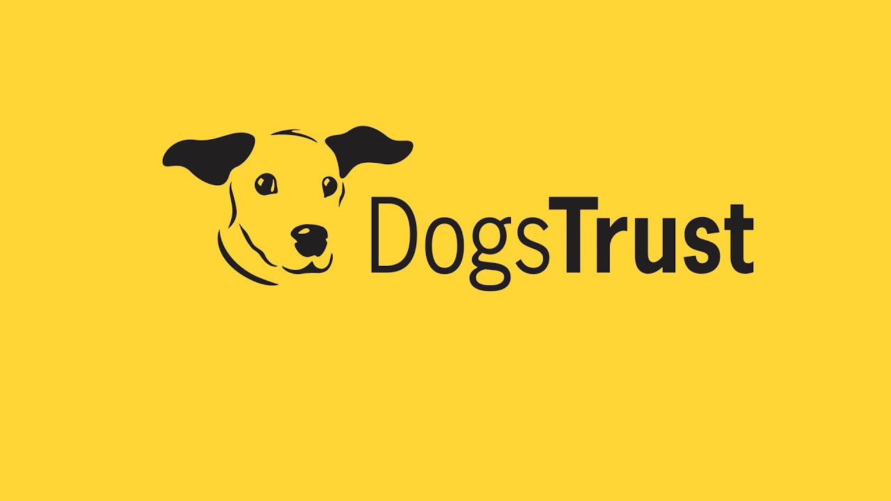 Dogs Trust Dublin Virtual Tour