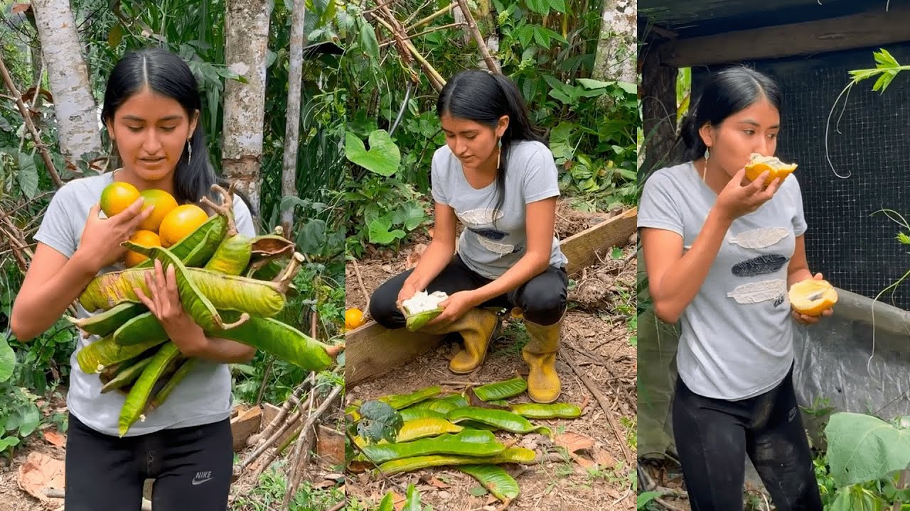 Cosechando ricas frutas de la Amazonía