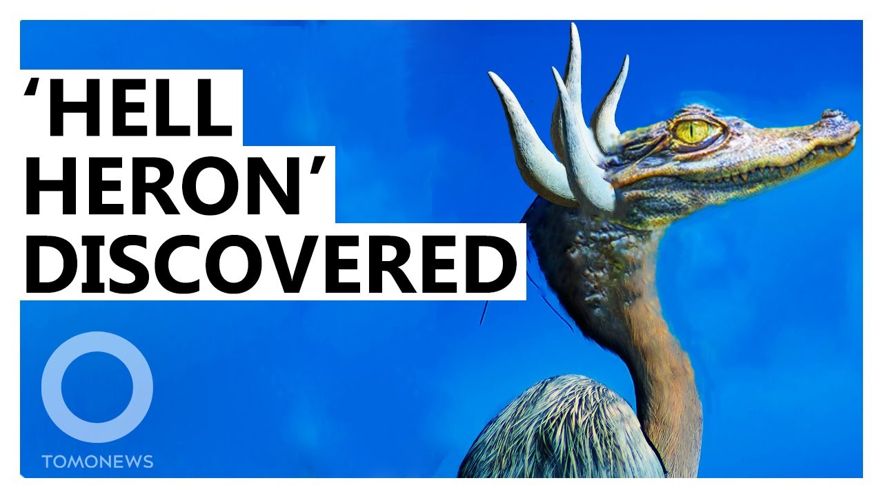 ‘Horned Crocodile-Faced Hell Heron’ Dinosaur Discovered
