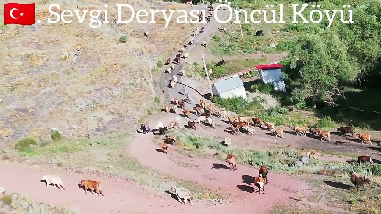 Öncül Köyü Aşık Murat Çobanoğlu Nun Sesiyle