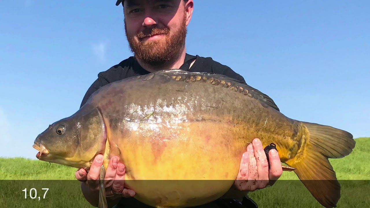 Roskilde Fiskeland maj 2018