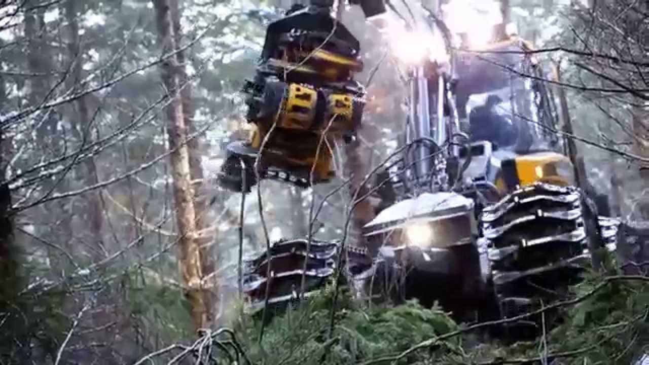 Cut-to-length Ponsse Harvester Bear and Forwarder BuffaloKing in North America