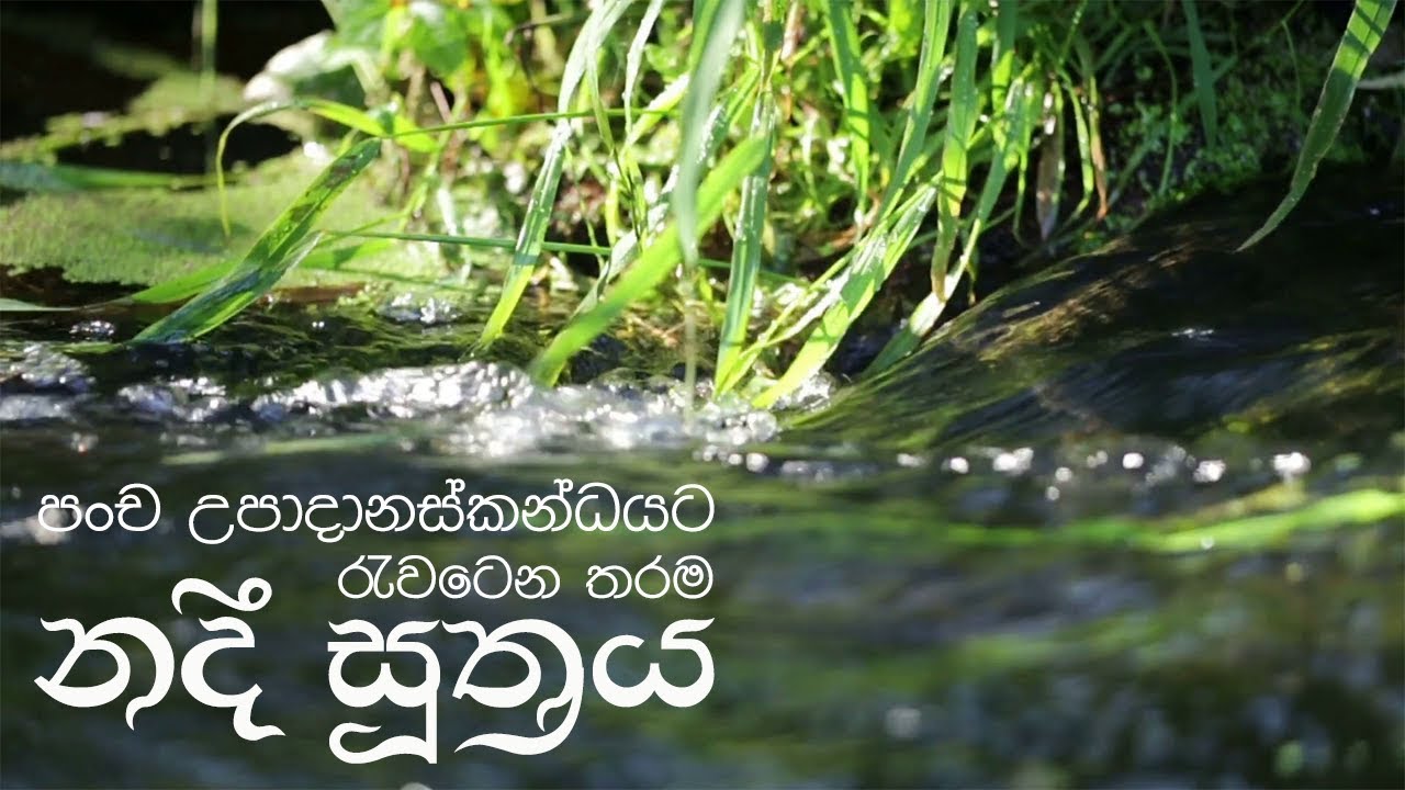 පංච උපාදානස්කන්ධයට රැවටෙන තරම...නදී සූත්‍රය