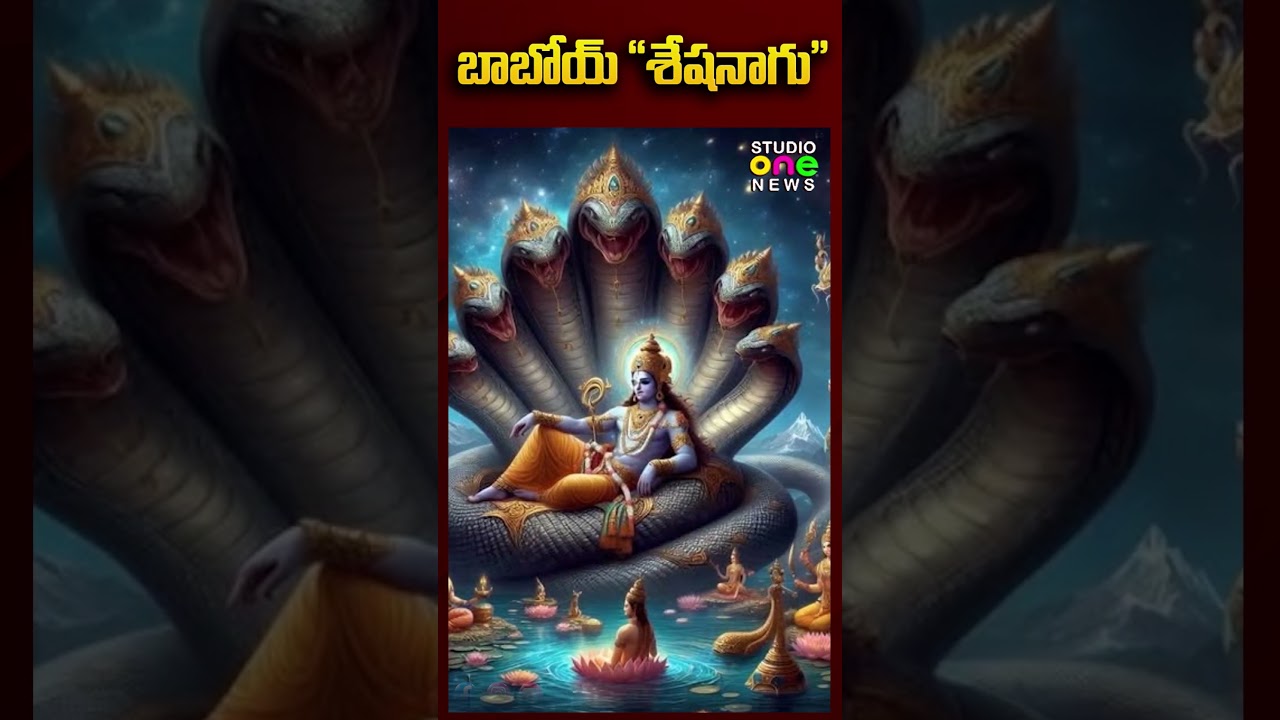 బాబోయ్ &ldquo;శేషనాగు&rdquo;..? | Sheshnag Viral Video | #sheshanagu #viral #youtubeshorts | Studio one news