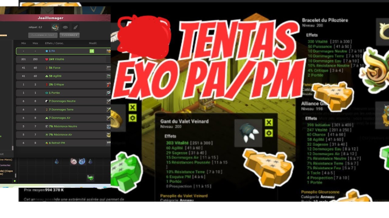 |Dofus Unity| Vague Exo PA & PM 62 item part 3