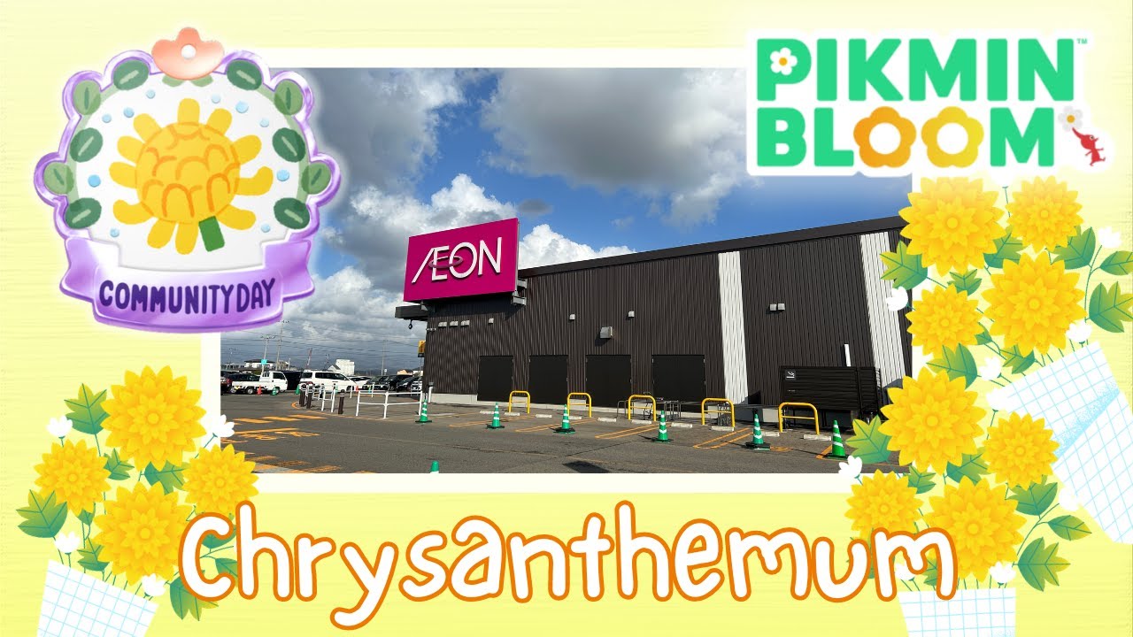 Chrysanthemum Community Day, November 2023【Pikmin Bloom】