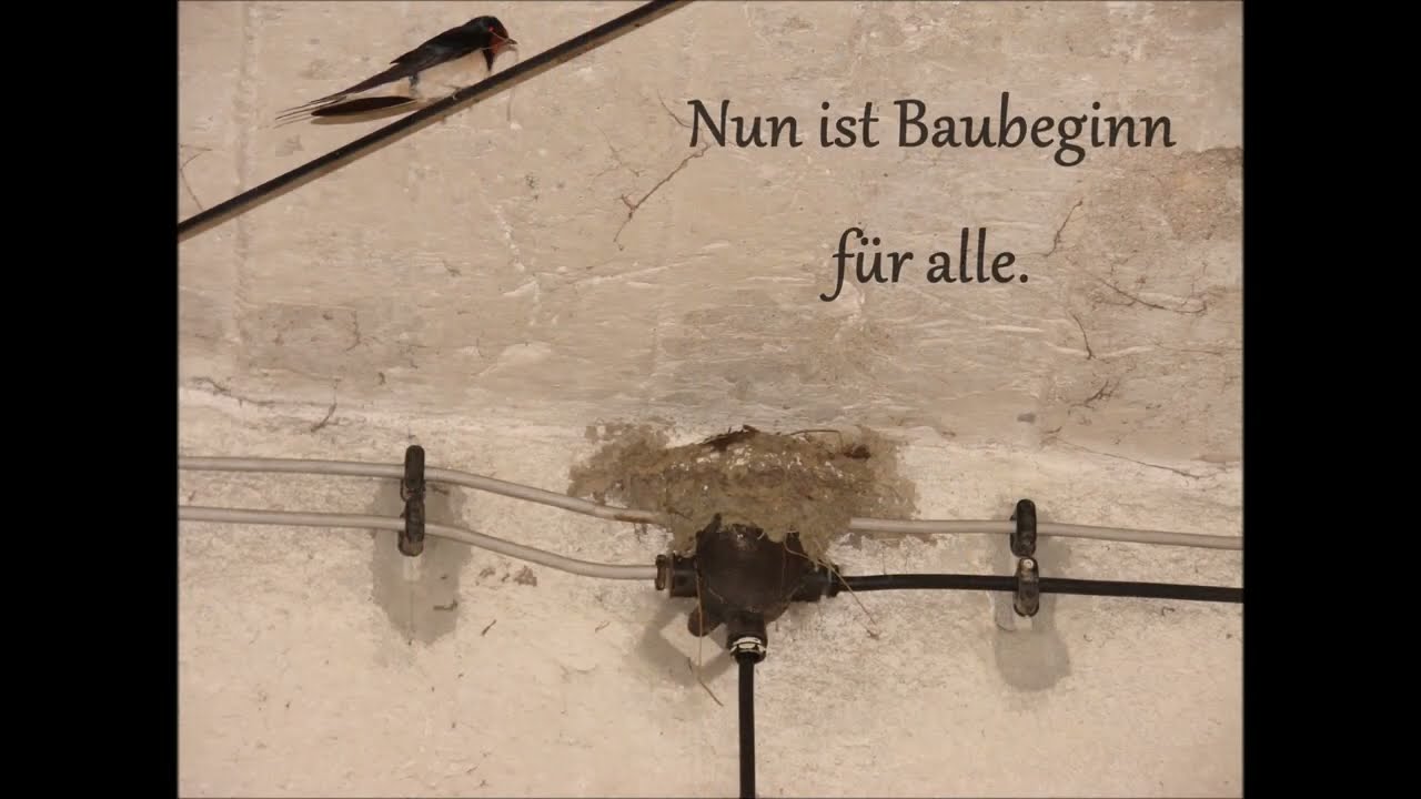 Hof Sachswolf in Seifhennersdorf 2021 - Umgebindehaus von 1663