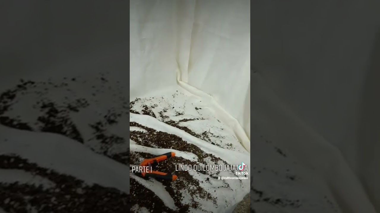 Solucion a problema en cultivo indoor. Parte 1.