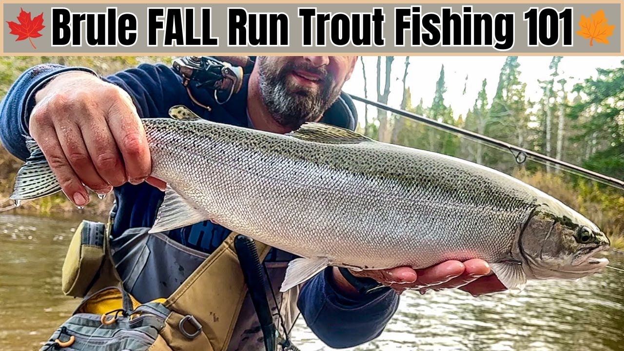 How To Catch Your FIRST Fish On The Brule River!  (Fall Fishing)