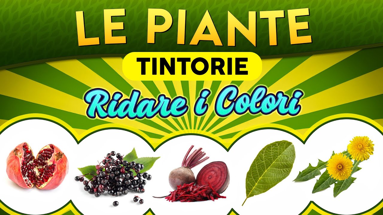 Le Piante tintorie: ridare i colori ► Puntata 243