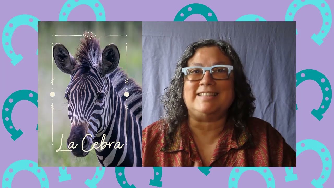 ​🦓​​​ CEBRA Animal de Poder, Tótem Cebra significado del arquetipo Cebra