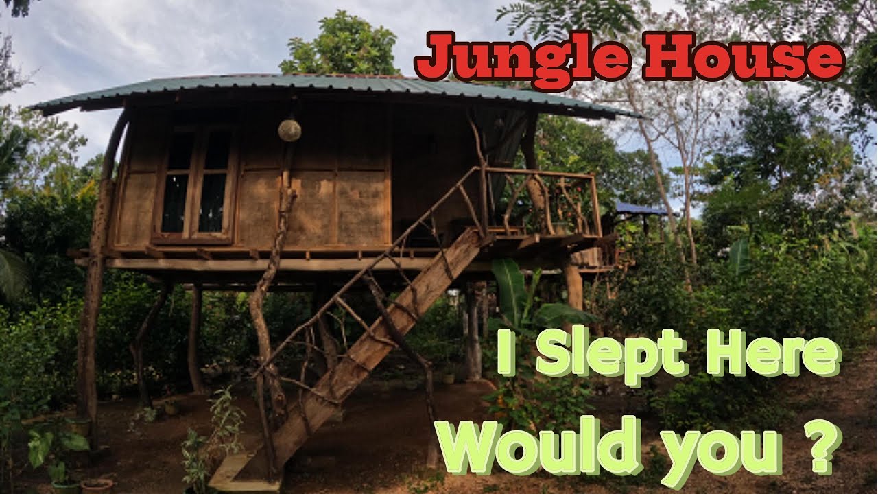 Sleeping in a Jungle House !You  Wont Believe What I Encountered !