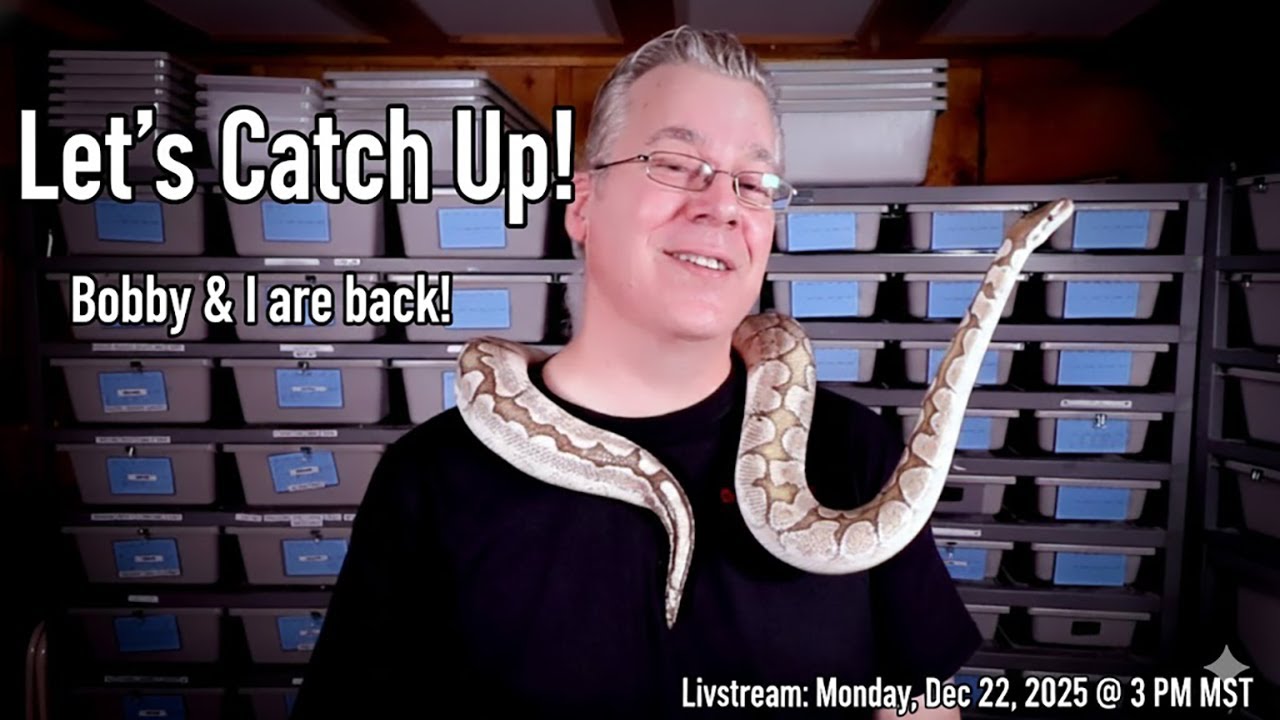 I&rsquo;m Finally Back... (With Bobby!)