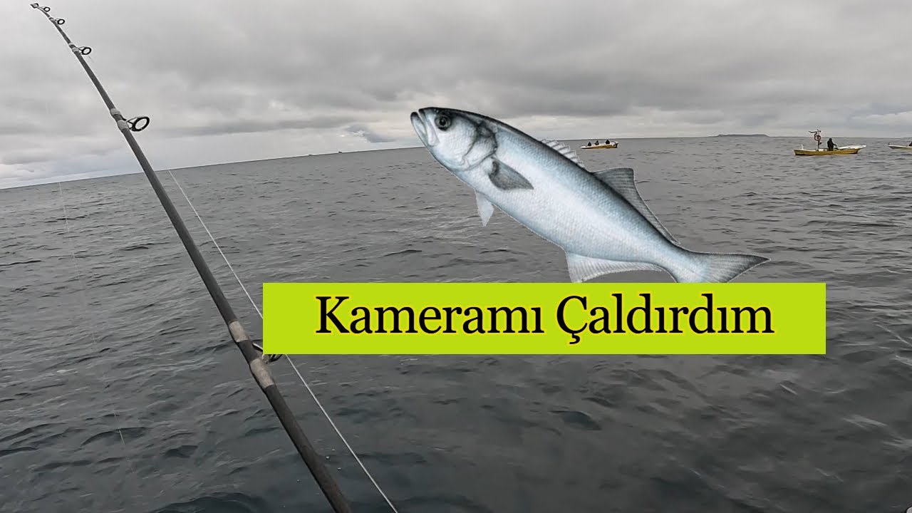 Tekneden Jig ile Lüfer Çinekop Balık Avı #fishing