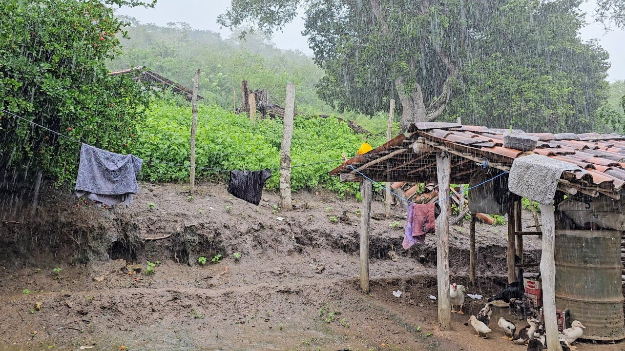 Os temporais de chuva continua aqui no interior da paraiba 01/07/2025⛈️