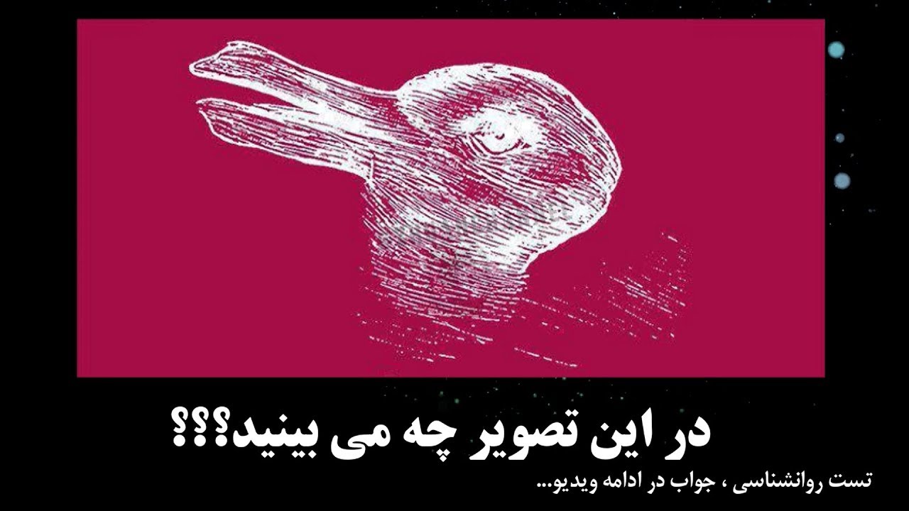 تست #روان&zwnj;شناسی : همون ثانیه ی اول خرگوش میبینید یا مرغابی؟