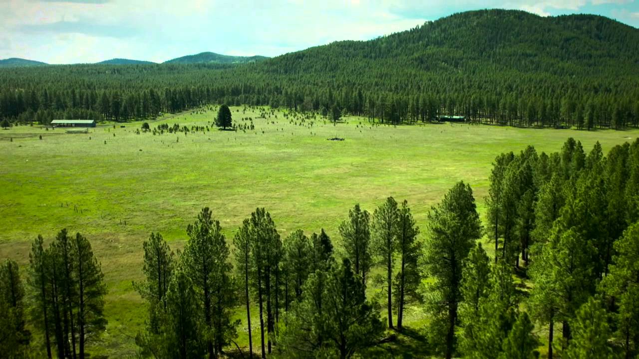Loma Vista Ranch Auction - 160 Acres - Pinetop, AZ
