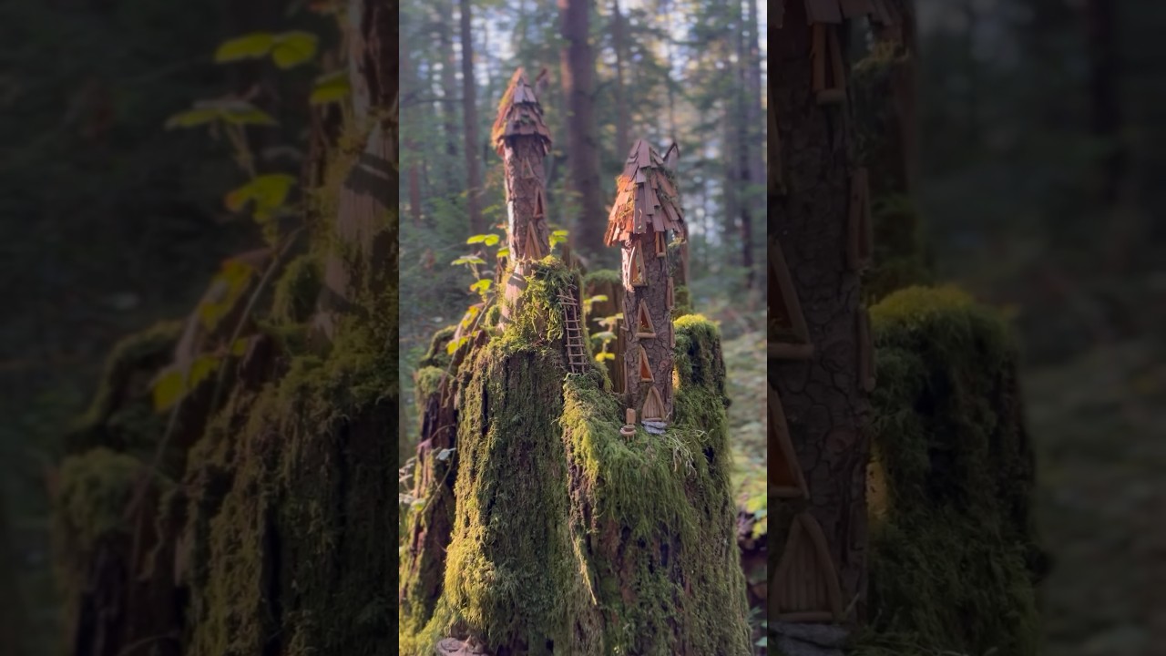 My first ALL-NATURAL Fairy house