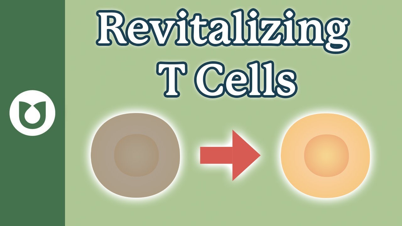 How Can We Revive Exhausted T Cells in Myeloma? #myeloma