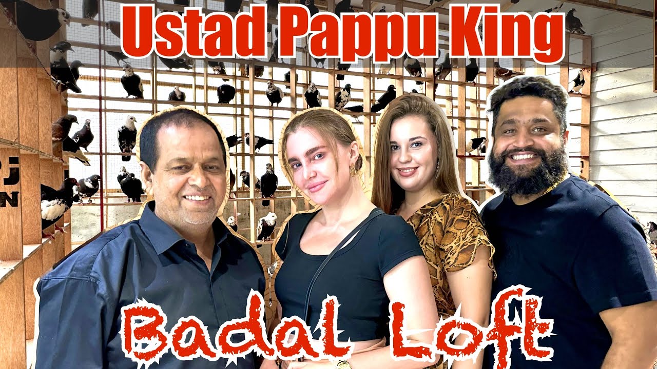 Badal Bhaiya loft model town | Ustad Pappu ji se milne kuch shagird aaye Canada se #pigeon
