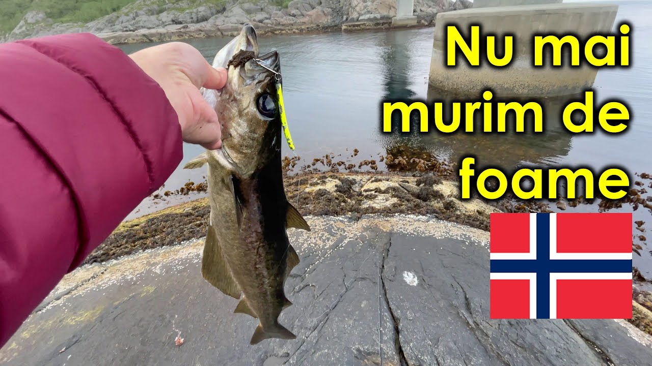 Daca nu avem bani de mancare - prindem peste in Norvegia
