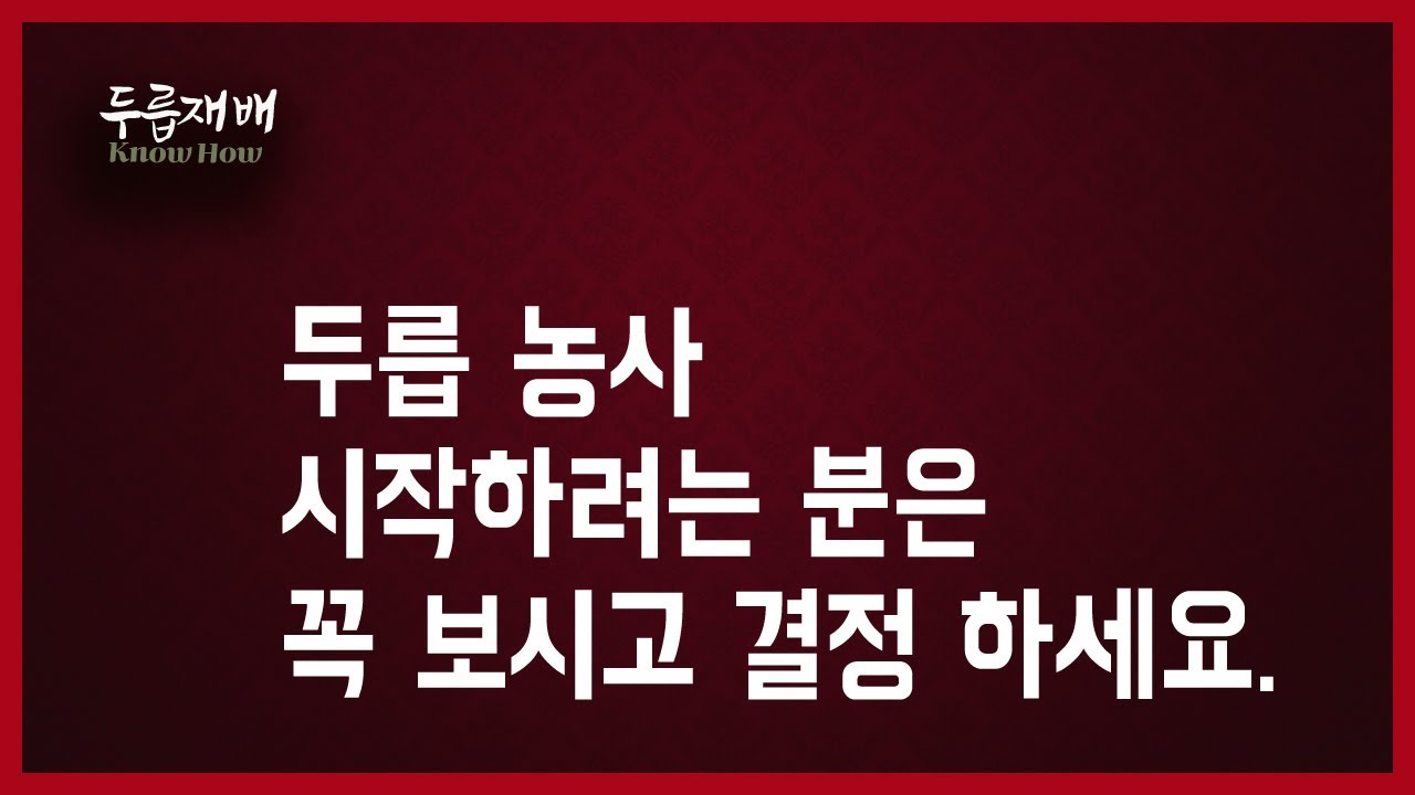 두릅 농사를 시작하려는 분은 꼭 보세요.