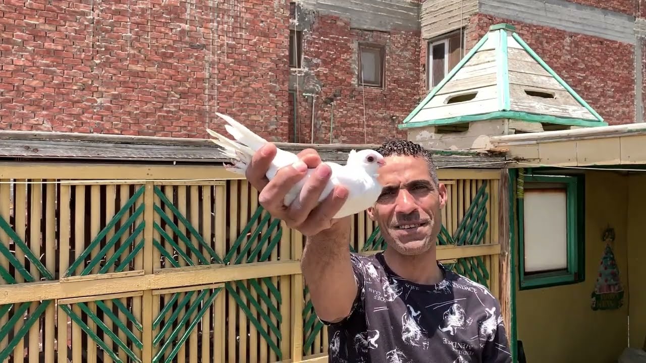 الزغاليل اختفت فى السحاب بعد ما خدت معاد