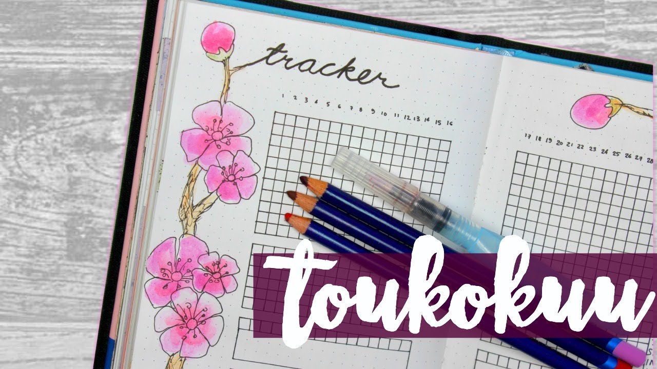 Toukokuu 🌸 | bullet journal
