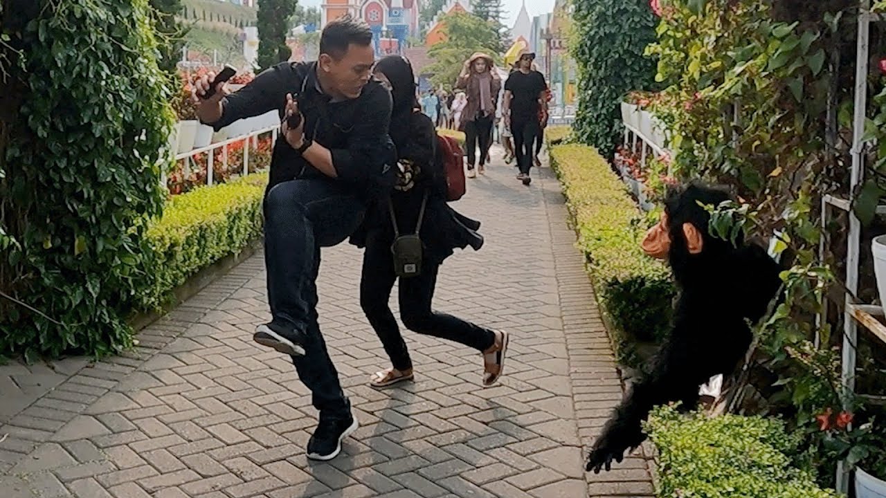 DIA SANGAT TAKUT DENGAN MONKEY PRANK