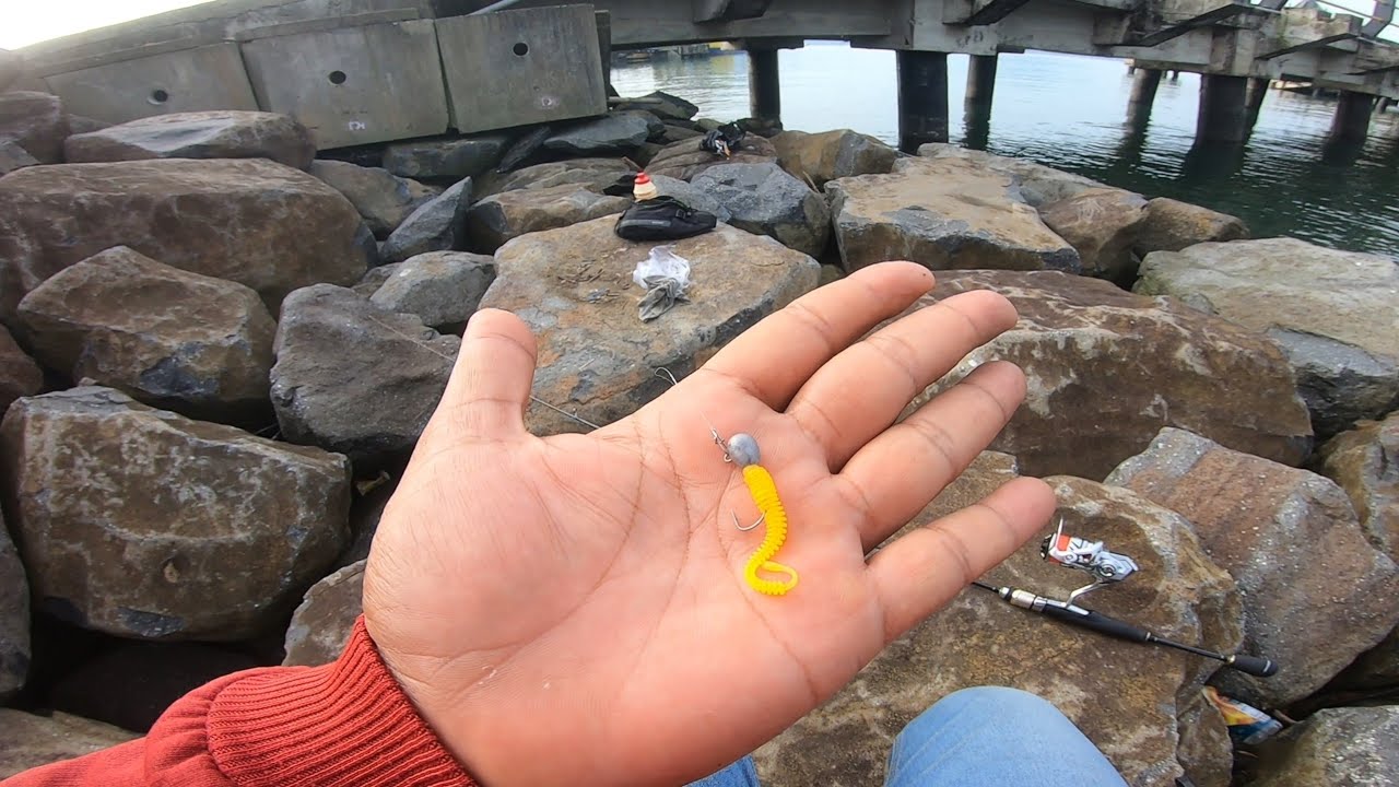COBA MICRO FISHING!🤔