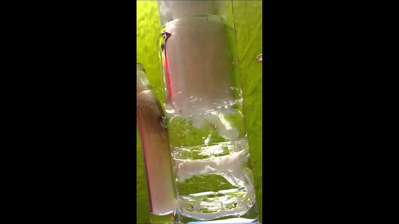 Hoss UFO perco bong hit