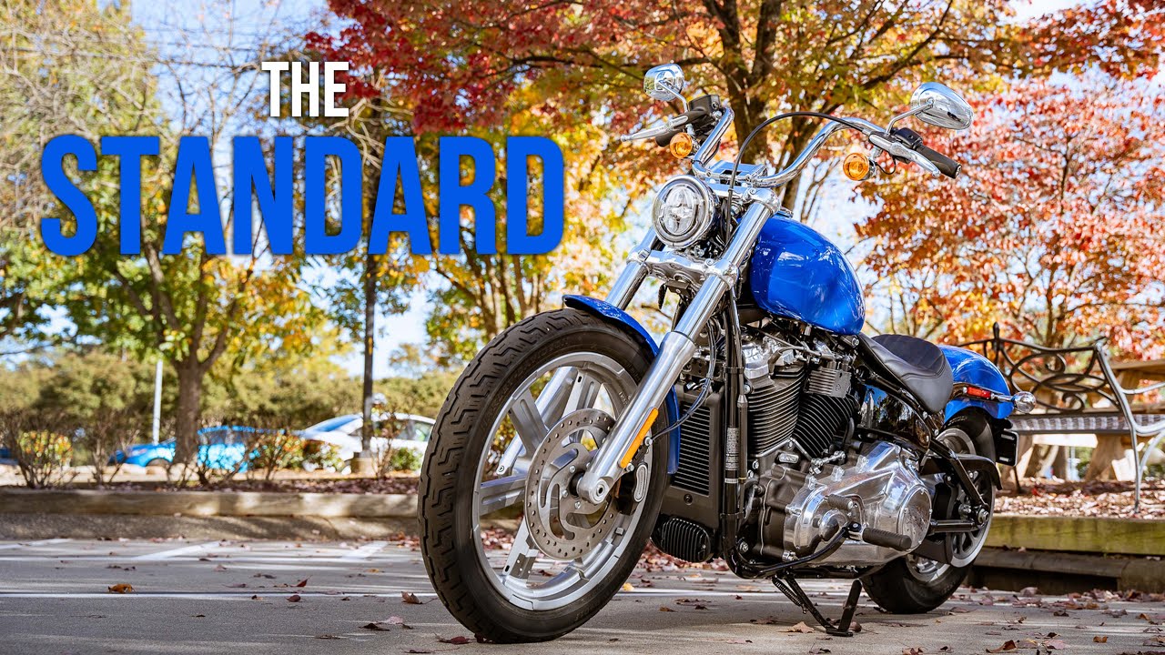 NEW Custom Painted Harley-Davidson Softail Standard