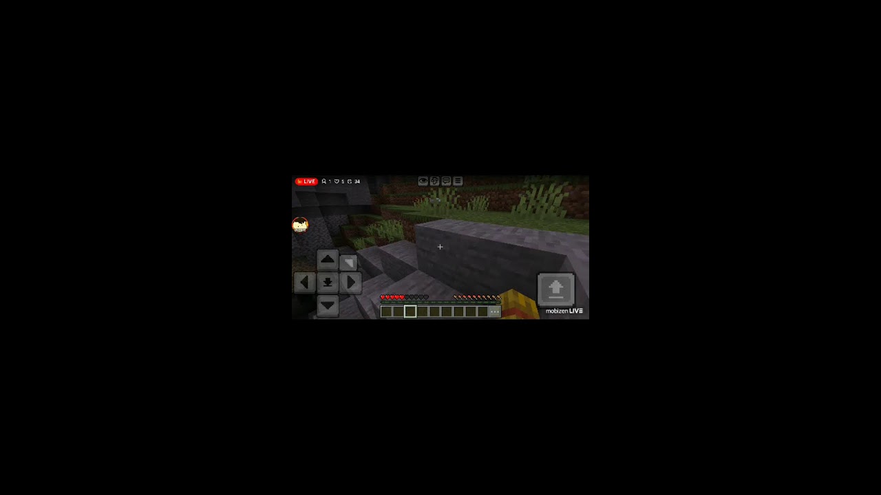 Minecraft live