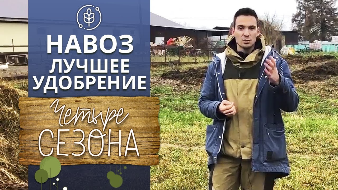 Навоз в сельском хозяйстве | Навоз: как правильно применять