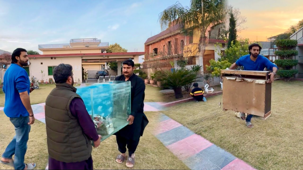 Aquarium Dy Dia 🙂 Ab Aey Ga New 😍