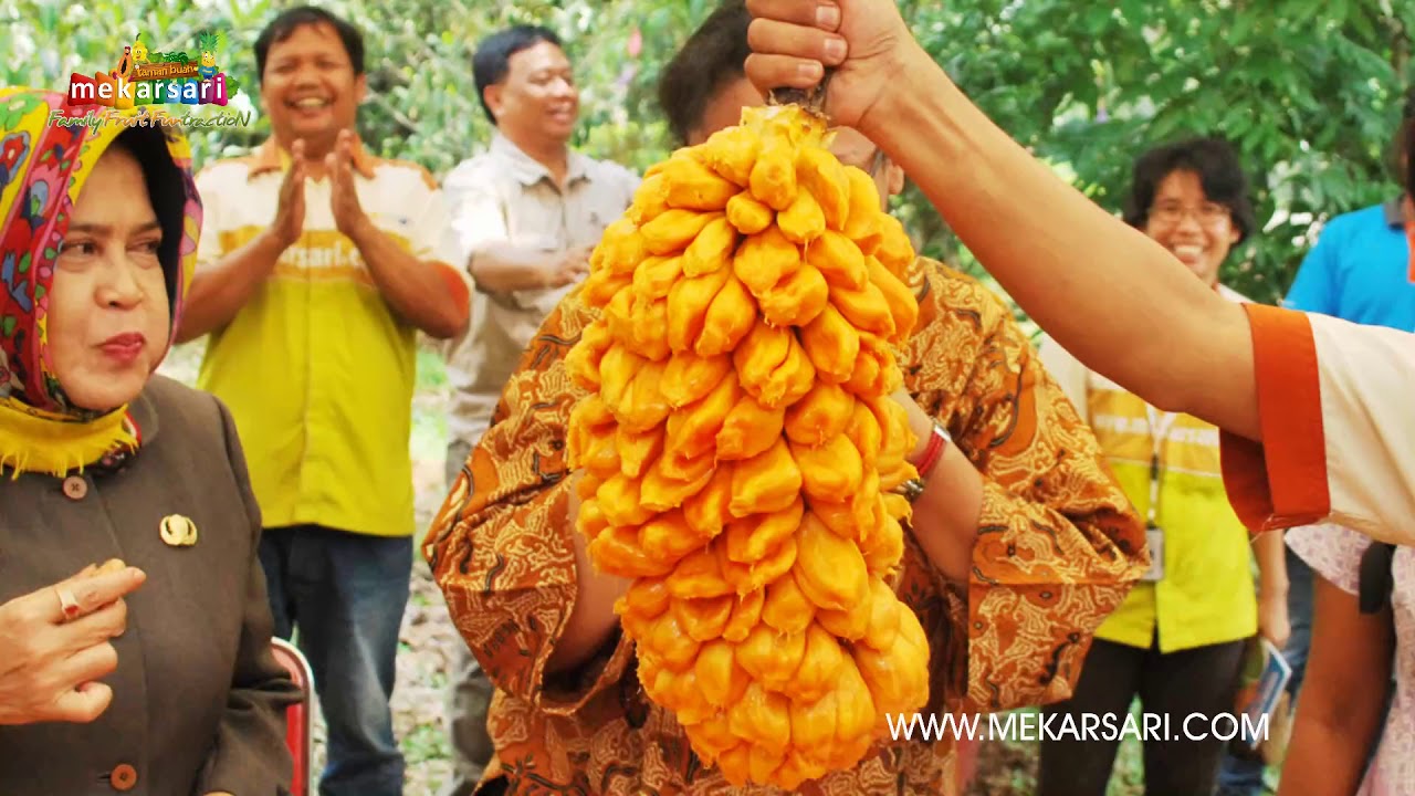 Kekayaan Buah-Buahan Nusantara di TAMAN BUAH MEKARSARI
