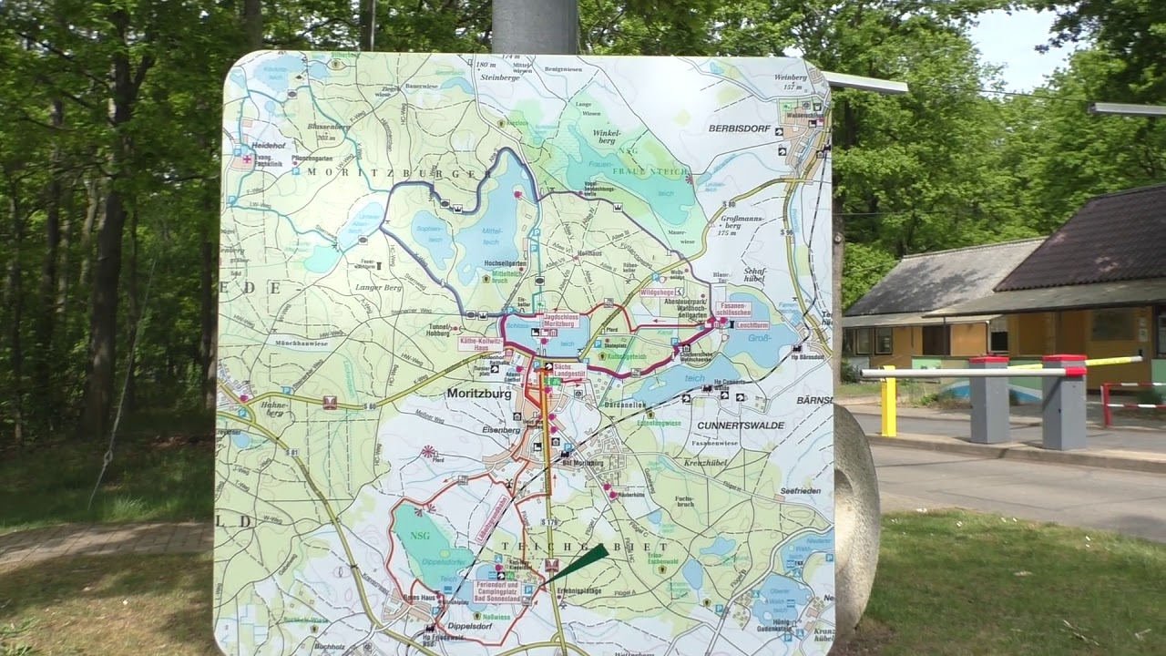 Dark Unterwegs  ab Dresden Wilschdorf Moritzburg, Friedewald, Junge Heide mit etwas lostigen
