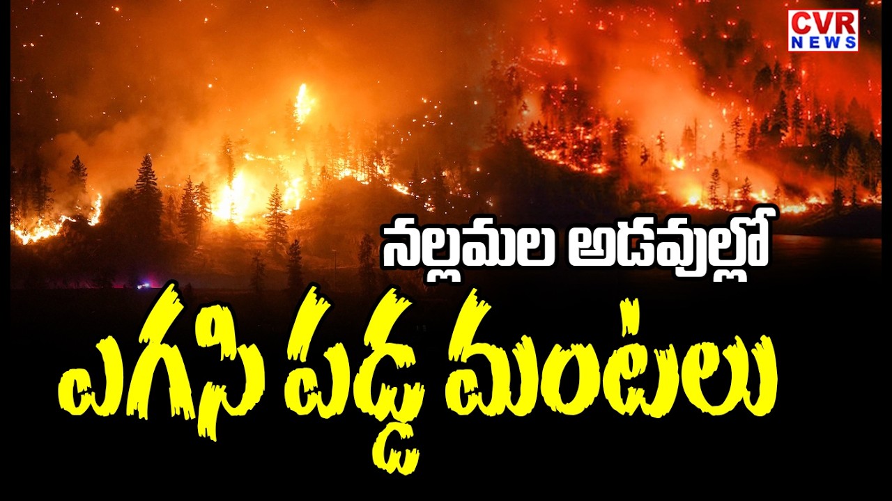 Fire Accident Near Mahanandi Temple In Nandyal District | Nallamala Forest | CVR News