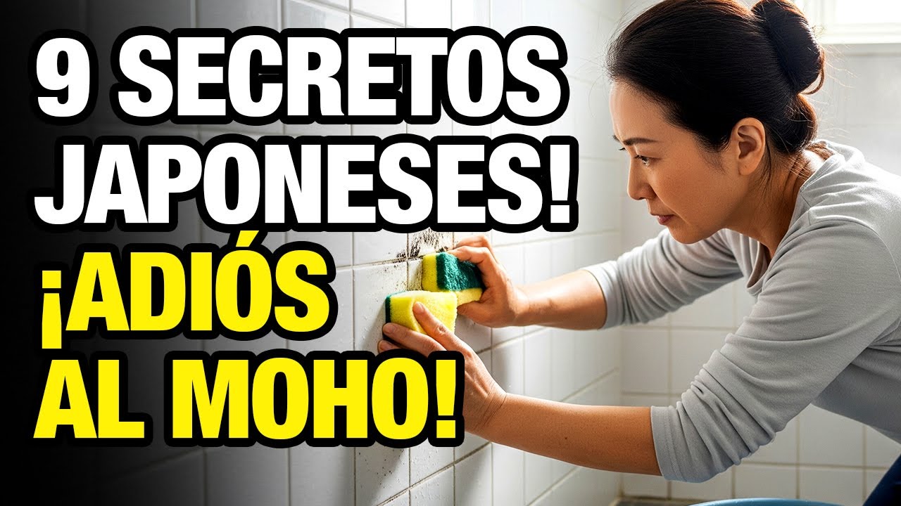 9 Secretos Japoneses Para Eliminar Moho Del Baño Para Siempre