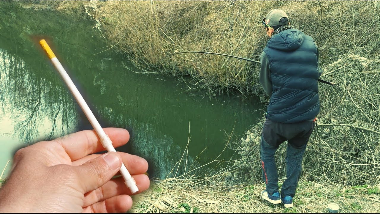 Pescuit Caras SĂLBATIC La PLUTĂ la BALTA DIN PĂDURE - Pescuit cu Râme de bălegar  și Viermi