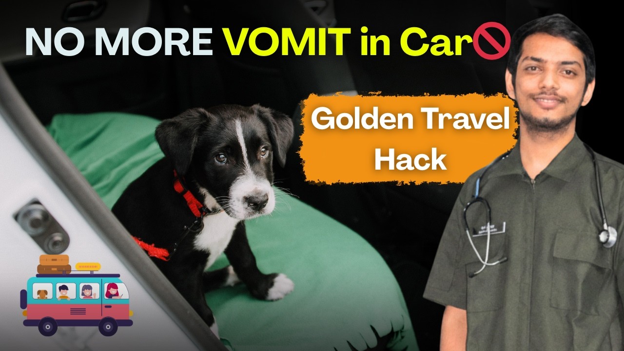 Stop Dog Vomiting in Car 🤮| Motion Sickness का Scientific Solution( Vet Explain)
