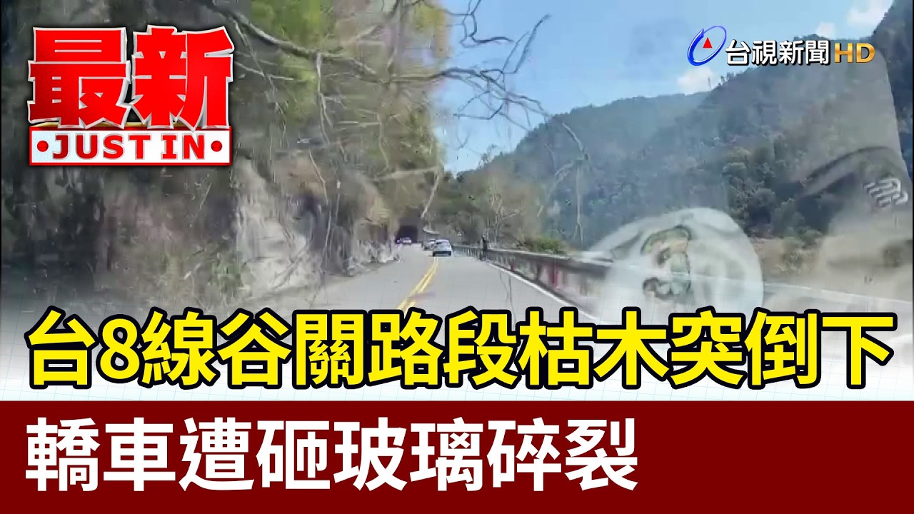 台8線谷關路段 枯木突倒下 轎車遭砸玻璃碎裂【最新快訊】