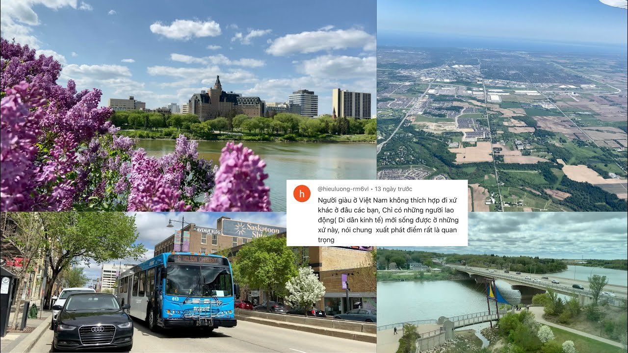 Có Phải Người Giàu Không Thích Cuộc Sống Canada?🇨🇦