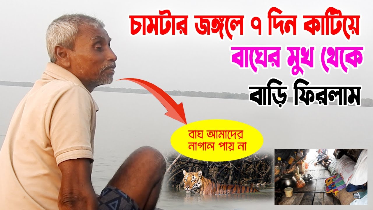 জঙ্গলে ৭ দিন কেন ১০ দিন থাকলেও বাঘ আমাদের নাগাল পায়না | tiger arier | #sundarbanoligoli