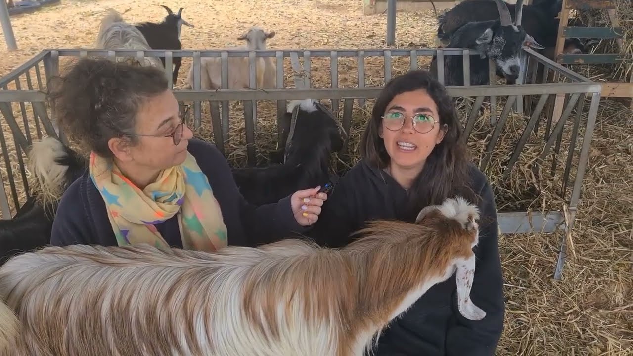 איך עזרנו לקסם? | שיעור 4 סרטון ב