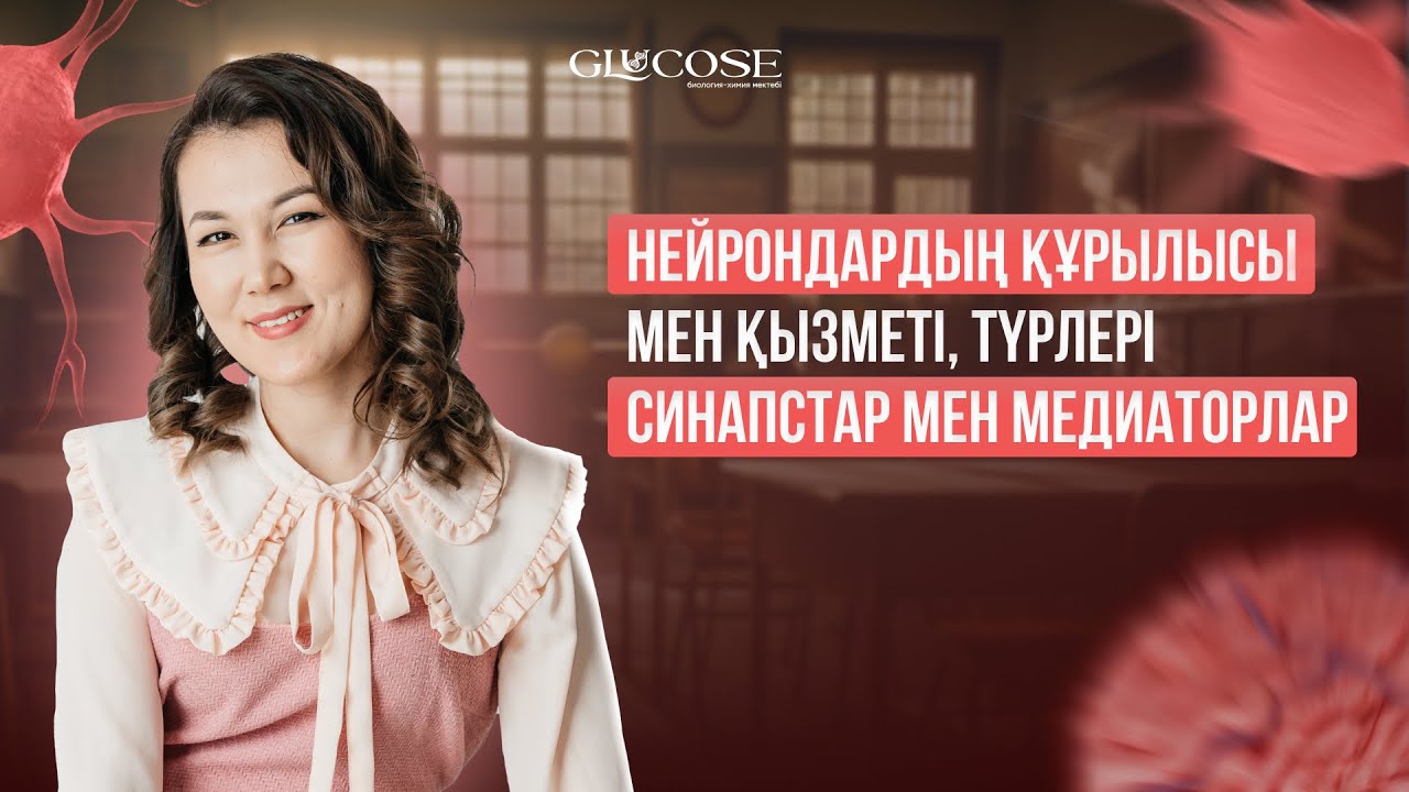 Нейрондардың құрылысы мен қызметі, түрлері. Синапстар мен медиаторлар