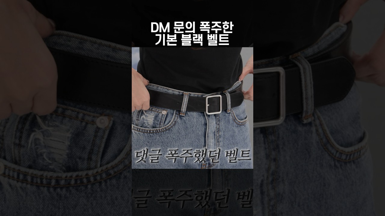 벨트 유목민들 여기 정착하시면 됩니다🙌