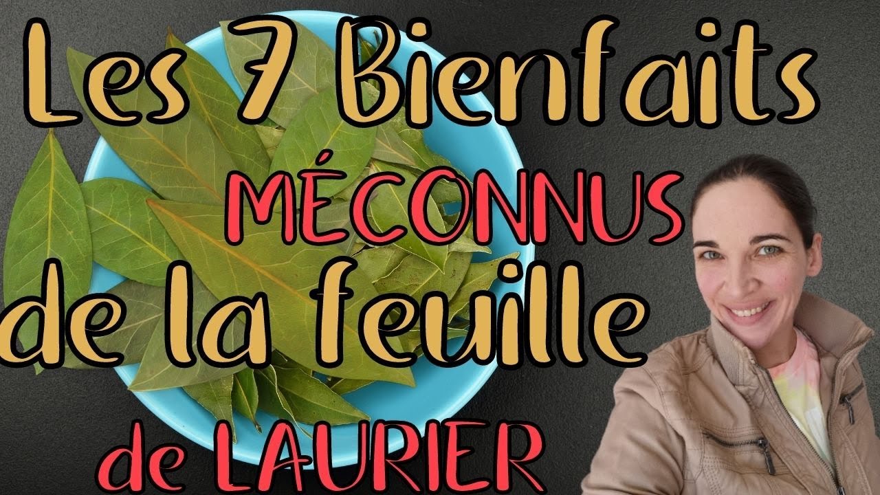 Les 7 bienfaits méconnus de la feuille de laurier.