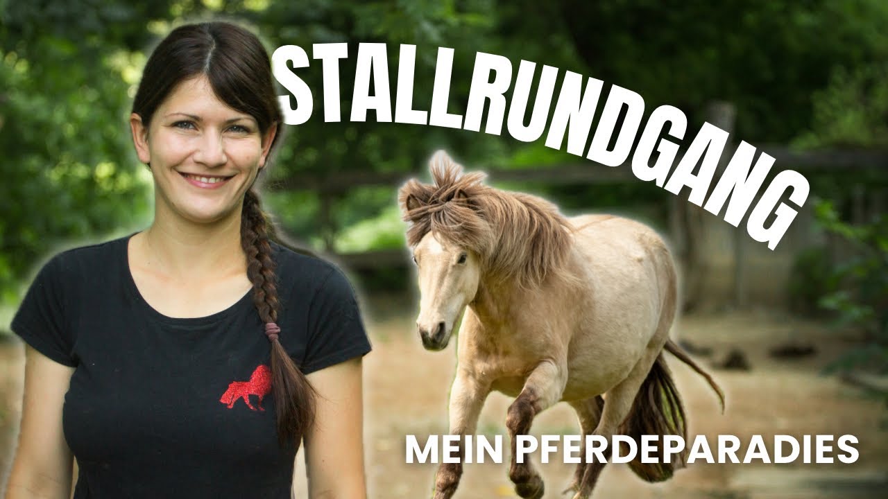 So artgerecht können Pferde leben
